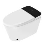 Fully Automatic Rimless Floor Mounted WC