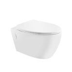 Rimless, Blind Installation Wall Hung WC