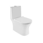 Rimless Single Piece WC