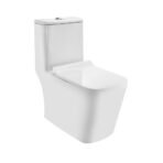 Rimless Single Piece WC