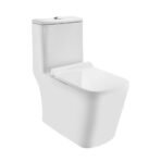 Rimless Single Piece WC