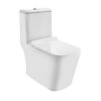 Rimless Single Piece WC