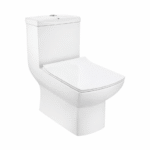 Rimless Single Piece WC