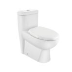 Rimless Single Piece WC