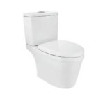Bowl With Cistern