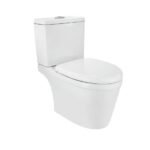 Bowl With Cistern