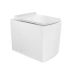 Rimless Back To Wall WC